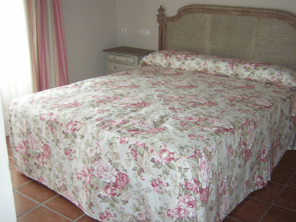 La Casona De Dona Petra Hotel Villarmentero de Campos Eksteriør billede